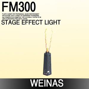 Weinas-FM300
