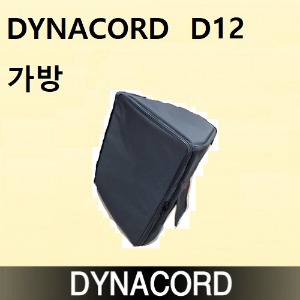 다이나코드 D12 가방