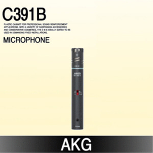 [AKG] C391B